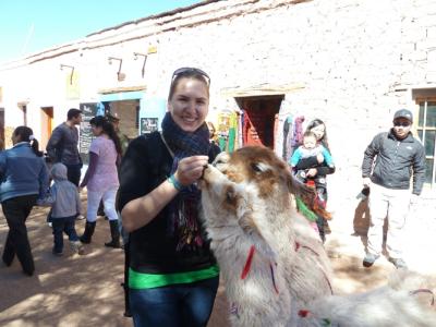 Ich mit Lamas in San Pedro de Atacama